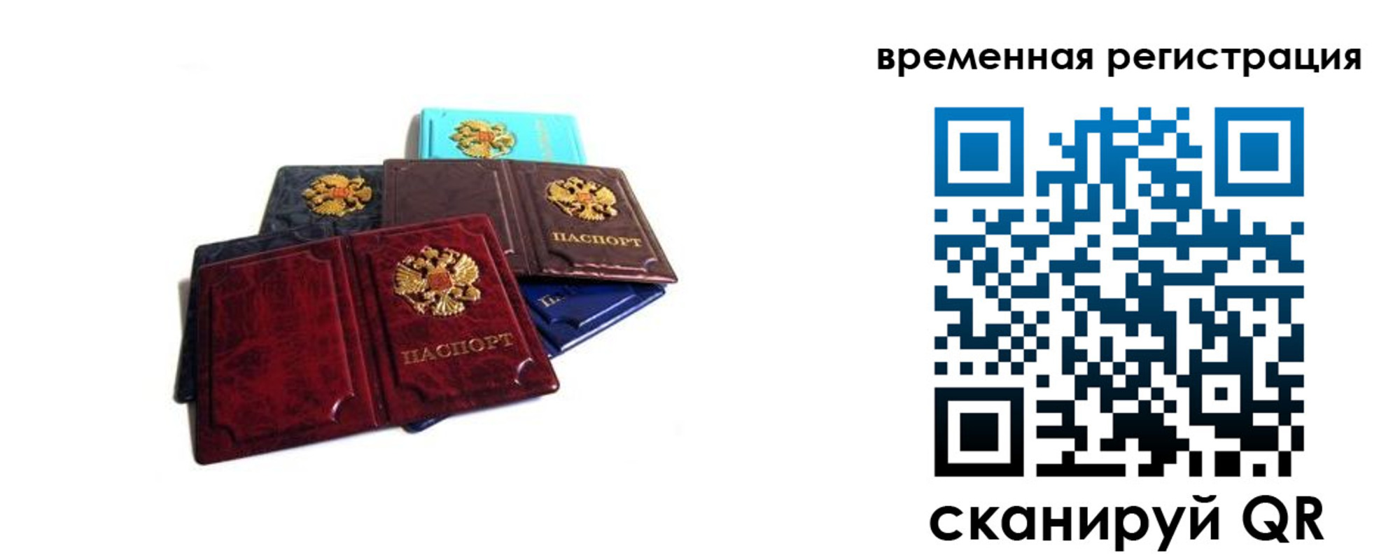 прописка гарантия в Приозерске